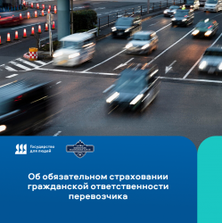 В рамках федерального проекта Государство для людей оказываются услуги перевозчика такси.