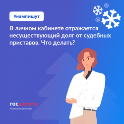 Что делать, если на Госуслугах отражается не ваша или уже оплаченная задолженность от судебных приставов?